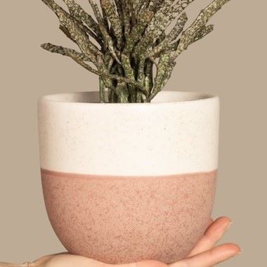 Large Plant Pot