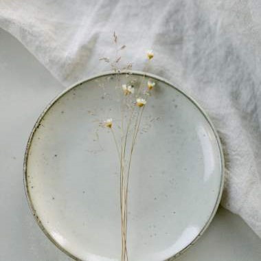 Dinner Plate